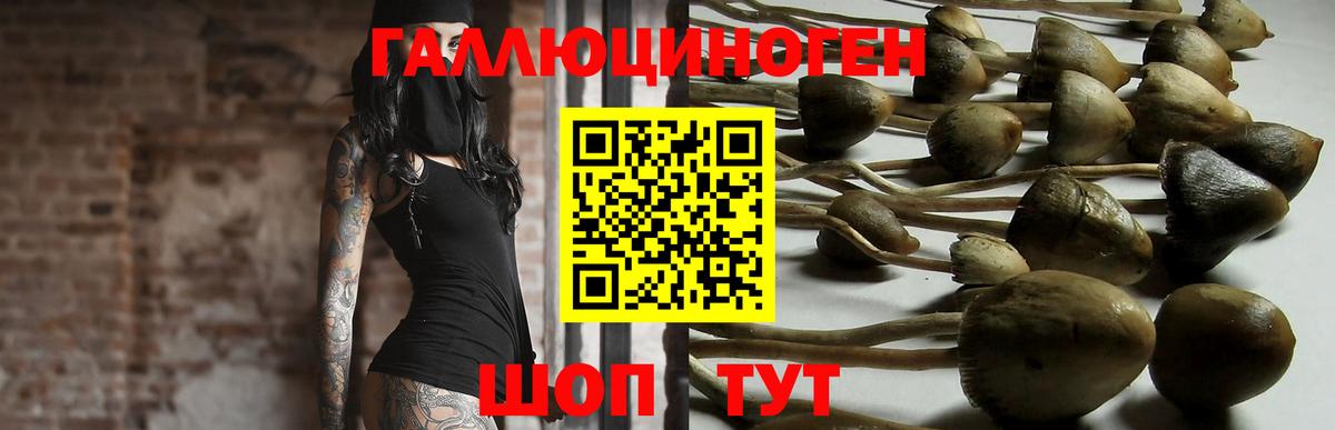 Псилоцибиновые грибы ЛСД  Галлюциногенные грибы GOLDEN TEACHER  Вход с VPN  Волоколамск 